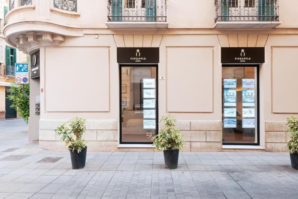 Apartamento Pineapple Trinidad 20 Málaga